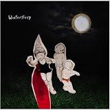 Welcome to the Night Sky by Wintersleep