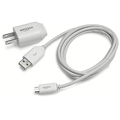 Amazon Kindle Replacement Power Adapter (Fits Latest Generation Kindle and Kindle DX) [For shipment in the U.S only]