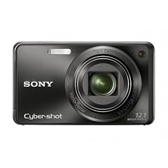 Sony Cyber-shot DSC-W290 12.1 MP Digital Camera with 5x Optical Zoom and Super Steady Shot Image Stabilization (Black)