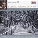 CD Cover Art