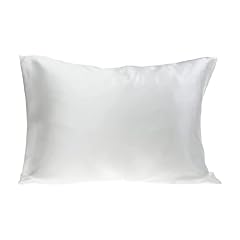 Spasilk 100% Pure Silk Facial Beauty Pillowcase