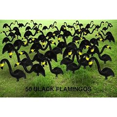 Garden Plast Black Flamingos, 50-Pack