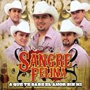 CD Cover Art