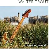 Common Ground by Walter Trout