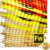 Adobe Fireworks CS6 Windows�� [�_�E�����[�h]