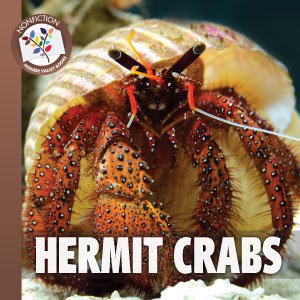 hermit crabs