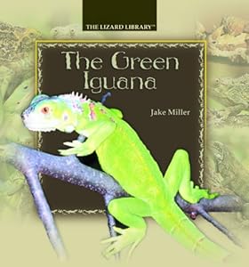 the green iguana