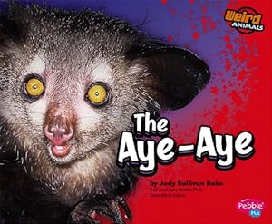 the aye-aye
