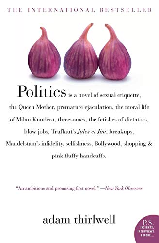 Politics Cover