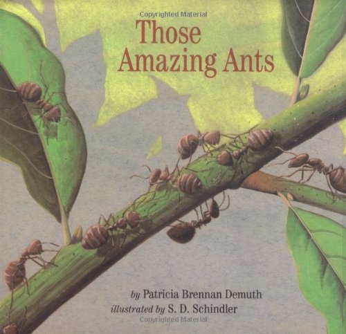 Those amazing ants Cover
