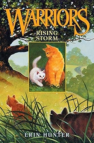 Rising storm Cover