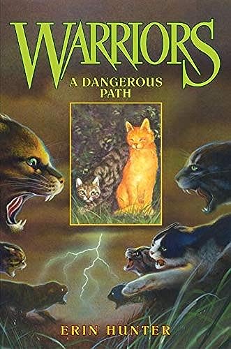 A dangerous path Cover