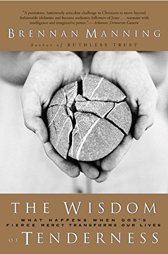 The wisdom of tenderness Cover