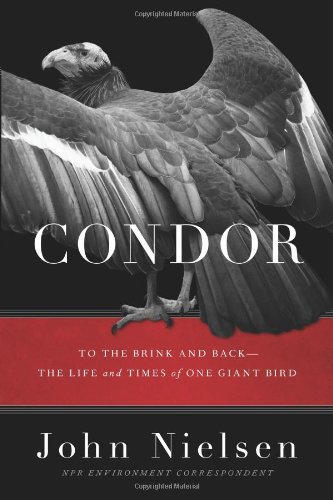 Condor Cover