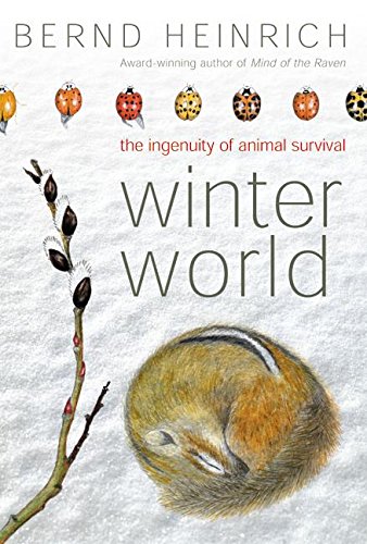Winter world Cover