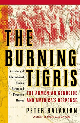 The burning Tigris Cover