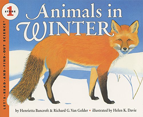 Animals in winter Cover