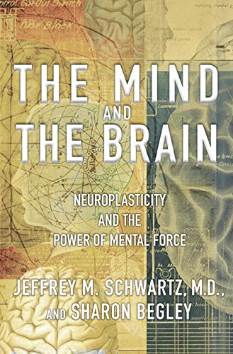 The mind and the brain Cover