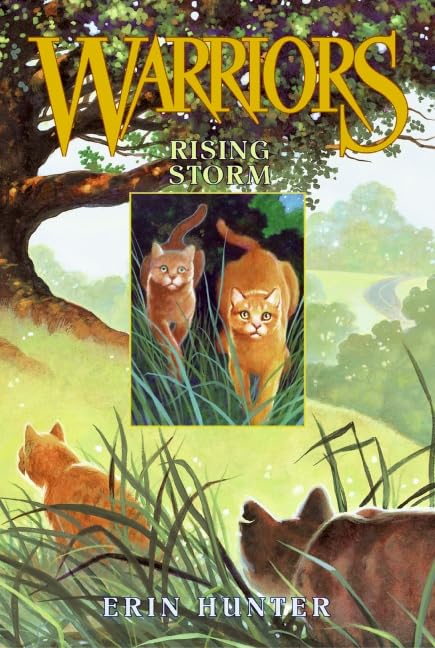 Rising Storm Cover