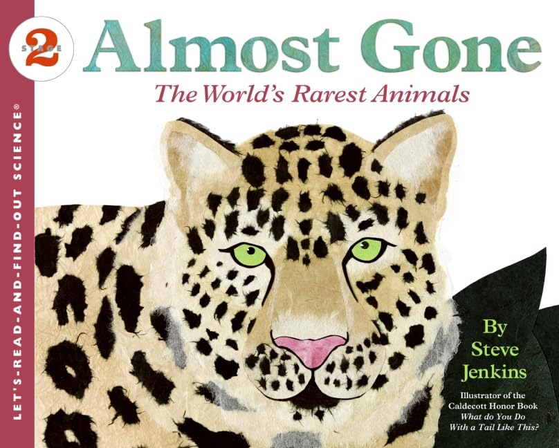 Almost gone Cover