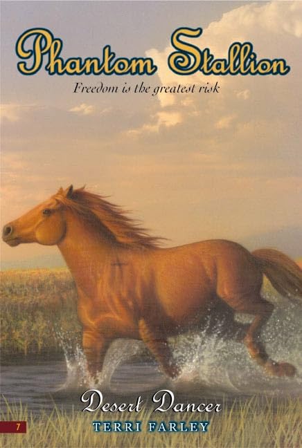 Desert dancer Cover