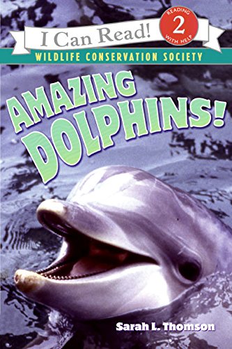 Amazing dolphins! Cover