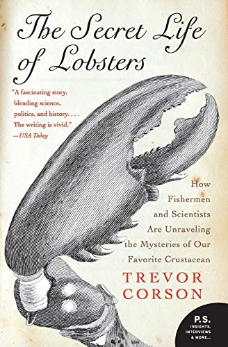 The Secret Life of Lobsters Cover