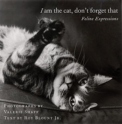 I am the cat, don't forget that Cover
