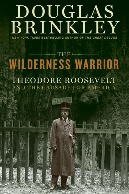 The wilderness warrior Cover