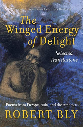 The Winged Energy of Delight Cover