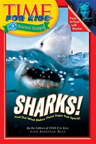 Sharks! Cover