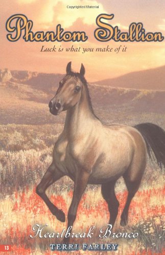 Heartbreak bronco Cover
