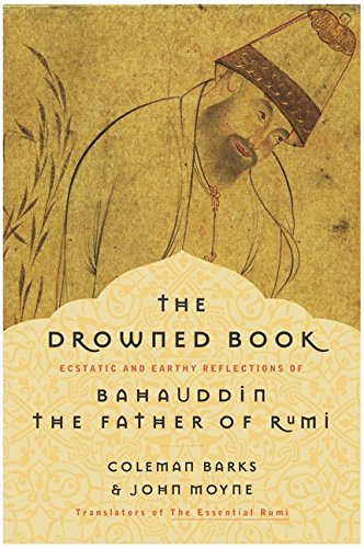 The drowned book Cover