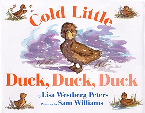 Cold Little Duck, Duck, Duck Board Book Cover