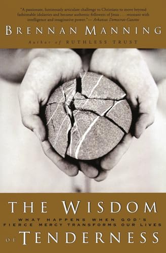 The Wisdom of Tenderness Cover