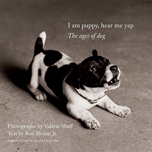 I Am Puppy, Hear Me Yap Cover