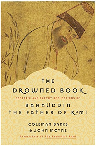 The Drowned Book Cover