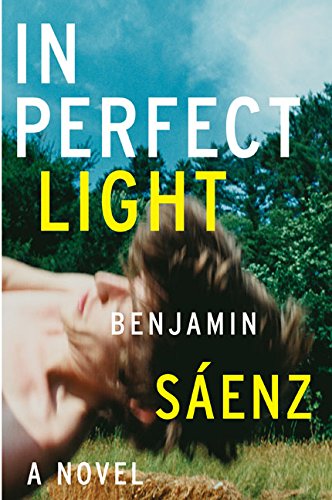 In Perfect Light Cover