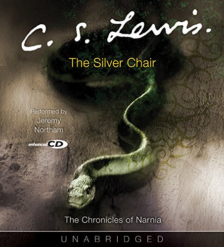 The Silver Chair Cover