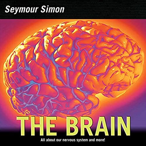 The Brain Cover