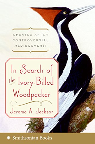 In Search of the Ivory-Billed Woodpecker Cover
