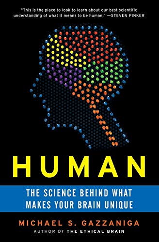 Human: The Science Behind What Makes Your Brain Unique – An Accessible Guide to Evolution, Consciousness, Language, and AI Cover