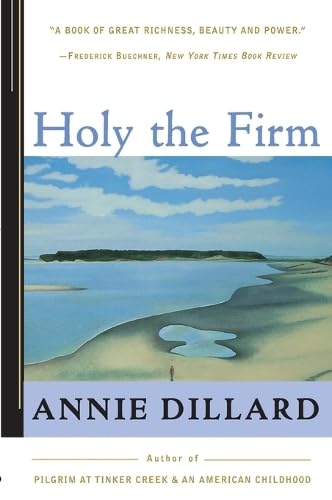 Holy the firm Cover