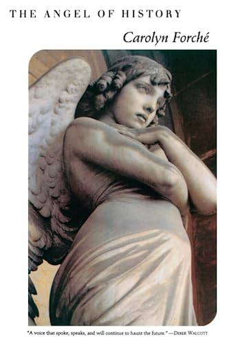 The angel of history Cover