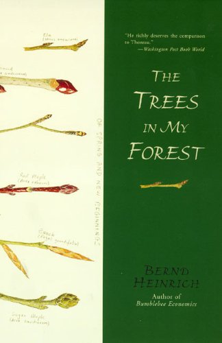 The trees in my forest Cover