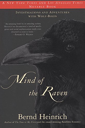 Mind of the Raven Poster