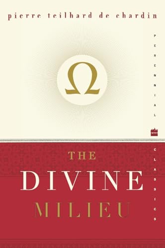 The divine Milieu Cover