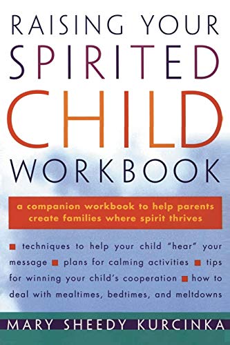 Raising your spirited child workbook Cover