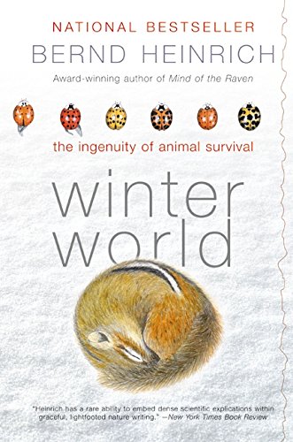 Winter World Cover