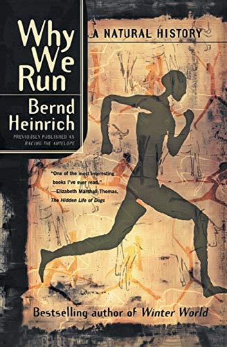 Why we run Cover